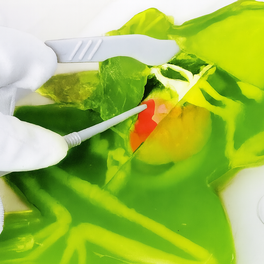 Rana laboratorio SLIMY Juego de experimentos con diseño de Rana