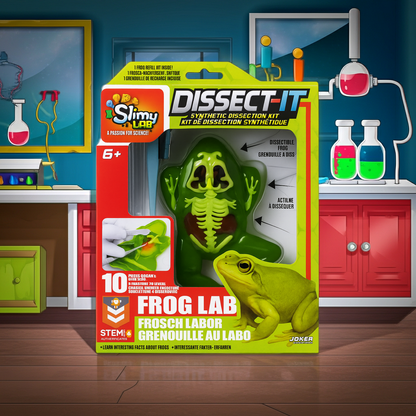 Rana laboratorio SLIMY Juego de experimentos con diseño de Rana