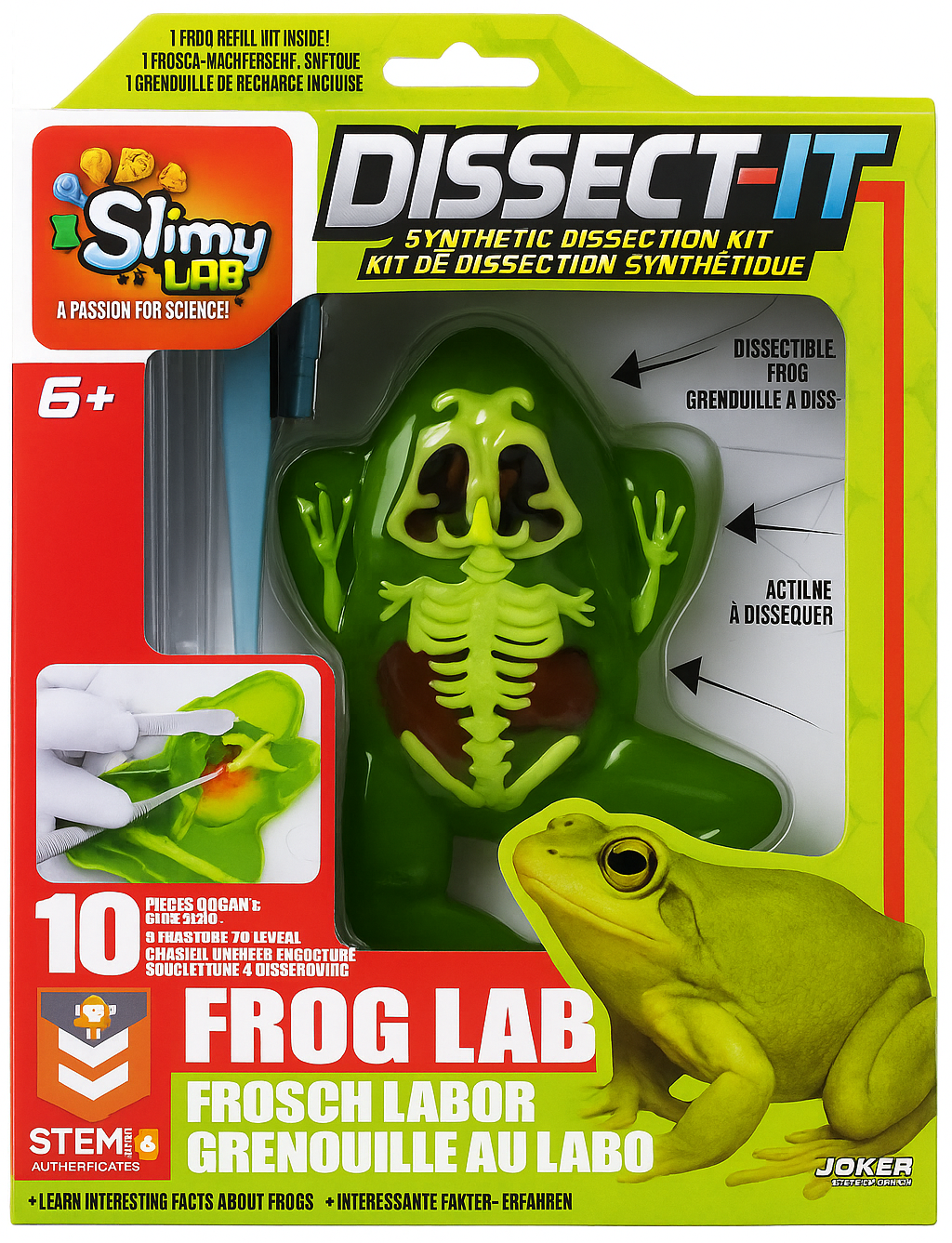 Rana laboratorio SLIMY Juego de experimentos con diseño de Rana